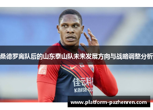 桑德罗离队后的山东泰山队未来发展方向与战略调整分析
