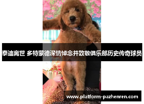 泰迪离世 多特蒙德深情悼念并致敬俱乐部历史传奇球员