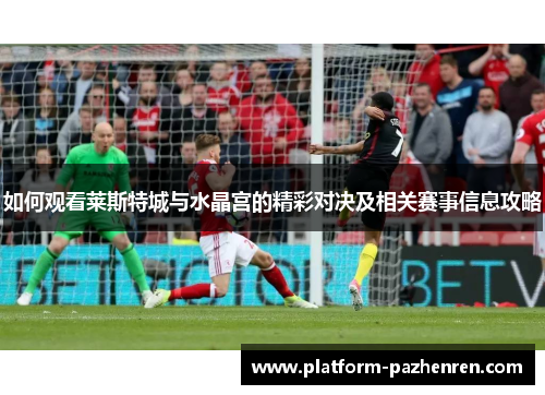 如何观看莱斯特城与水晶宫的精彩对决及相关赛事信息攻略