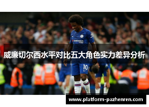 威廉切尔西水平对比五大角色实力差异分析