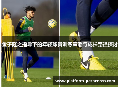 金子隆之指导下的年轻球员训练策略与成长路径探讨