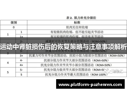 运动中肾脏损伤后的恢复策略与注意事项解析