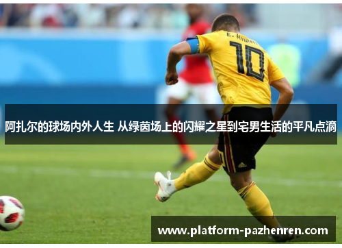 阿扎尔的球场内外人生 从绿茵场上的闪耀之星到宅男生活的平凡点滴