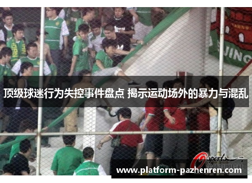 顶级球迷行为失控事件盘点 揭示运动场外的暴力与混乱